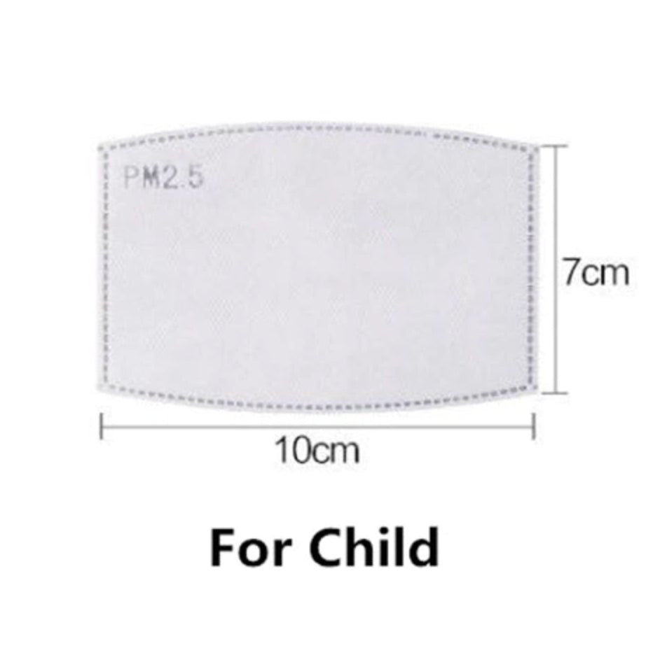 PM2.5 Disposable Mask Filters (Set of 10)