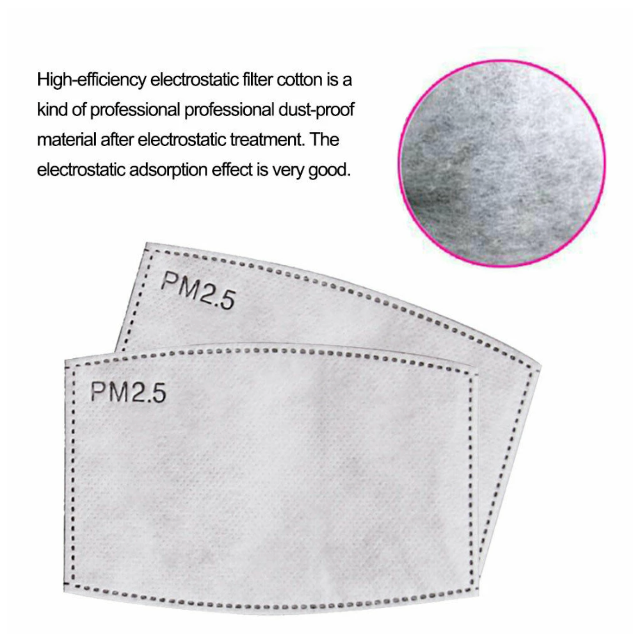 PM2.5 Disposable Mask Filters (Set of 10)