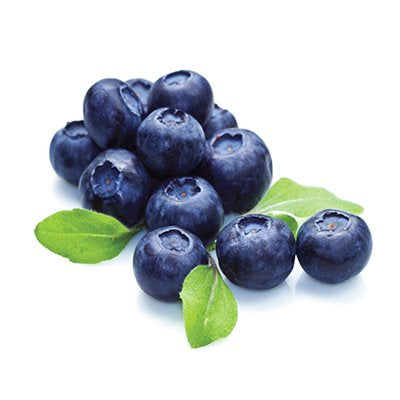 Blueberry Konjac Sponge