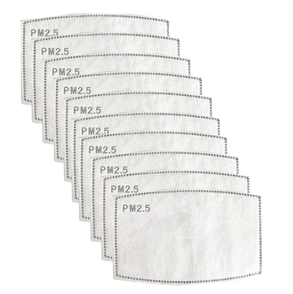 PM2.5 Disposable Mask Filters (Set of 10)