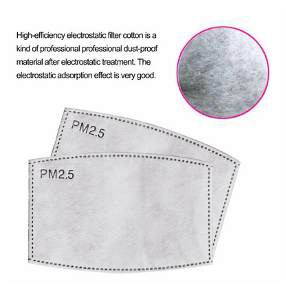 PM2.5 Disposable Mask Filters (Set of 10)